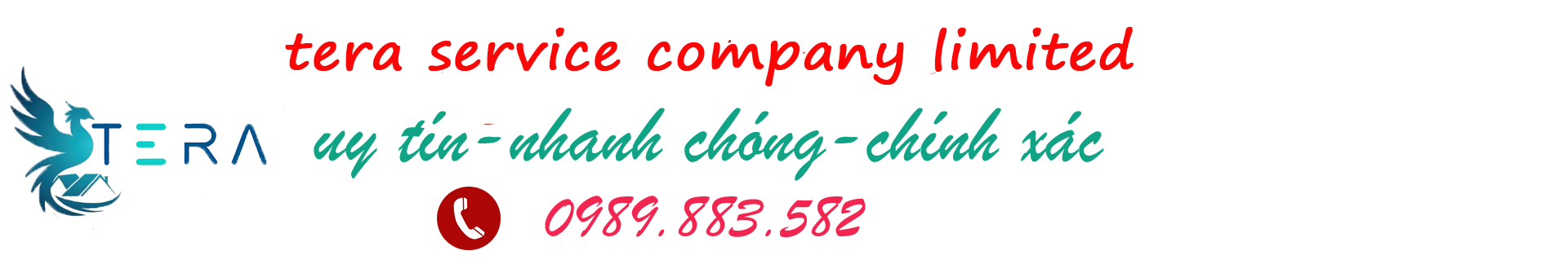 CTY TNHH DỊCH VỤ TERA